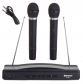 Karaoke Set With 2 Pcs Wireless Microphone Station Music Party